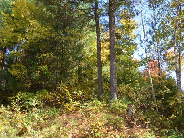 Tomahawk Radon Mitigation & Testing N11445 Co Rd A LOT 18 Tomahawk WI 54487 715-504-1122 in Rhinelander